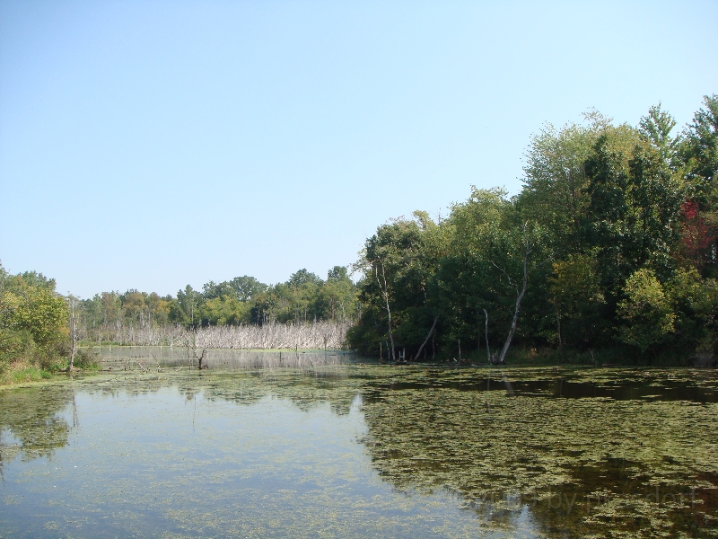 Western Michigan [2009] 377.JPG - Scenes from Frederik Meijer Gardens & Sculpture Park.